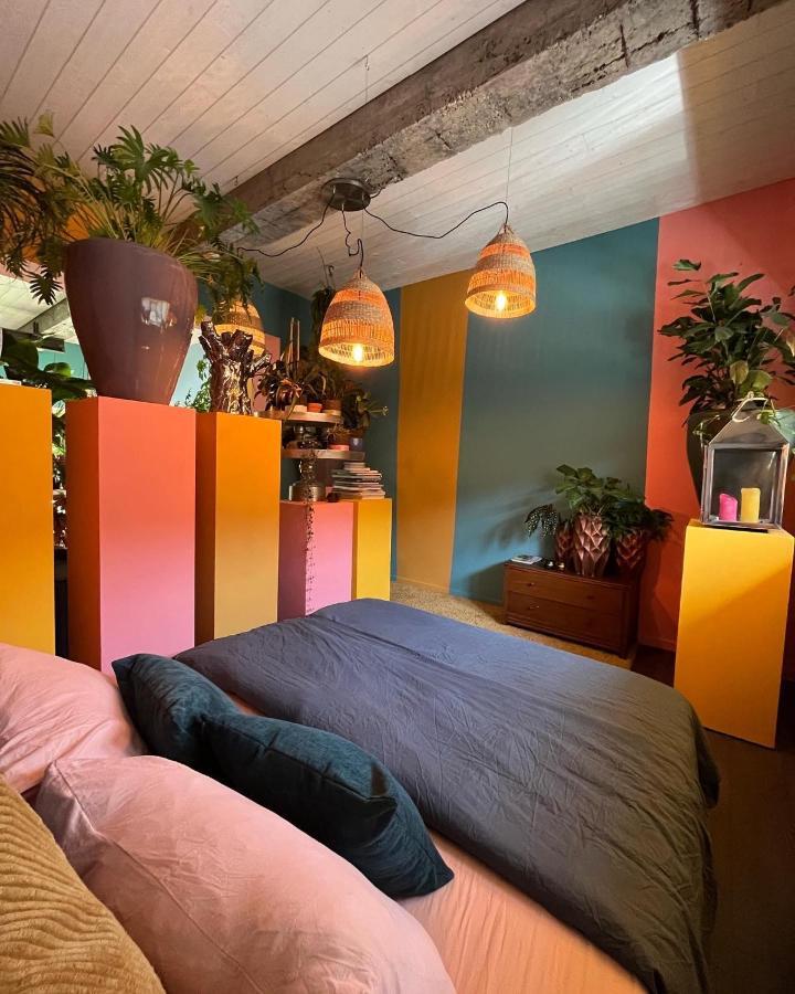 Plantkot -Boekenkot -Kunstkot En Love Kot Poelkapelle Exterior foto