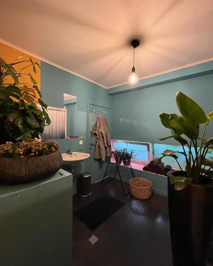 Plantkot -Boekenkot -Kunstkot En Love Kot Poelkapelle Exterior foto
